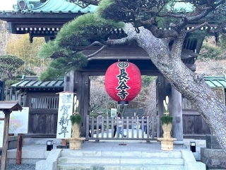 明けましておめでとうございます!